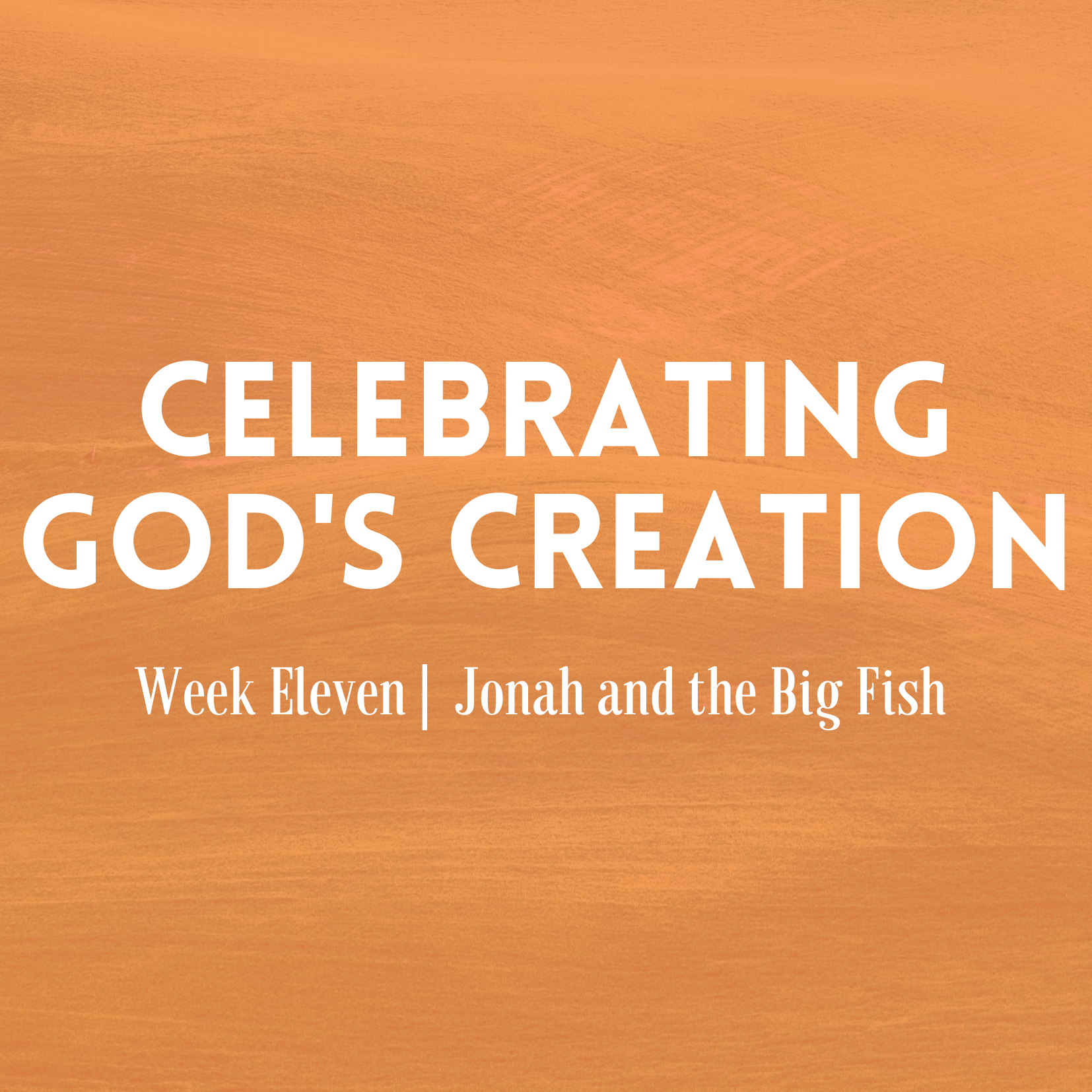 Jonah and the Big Fish