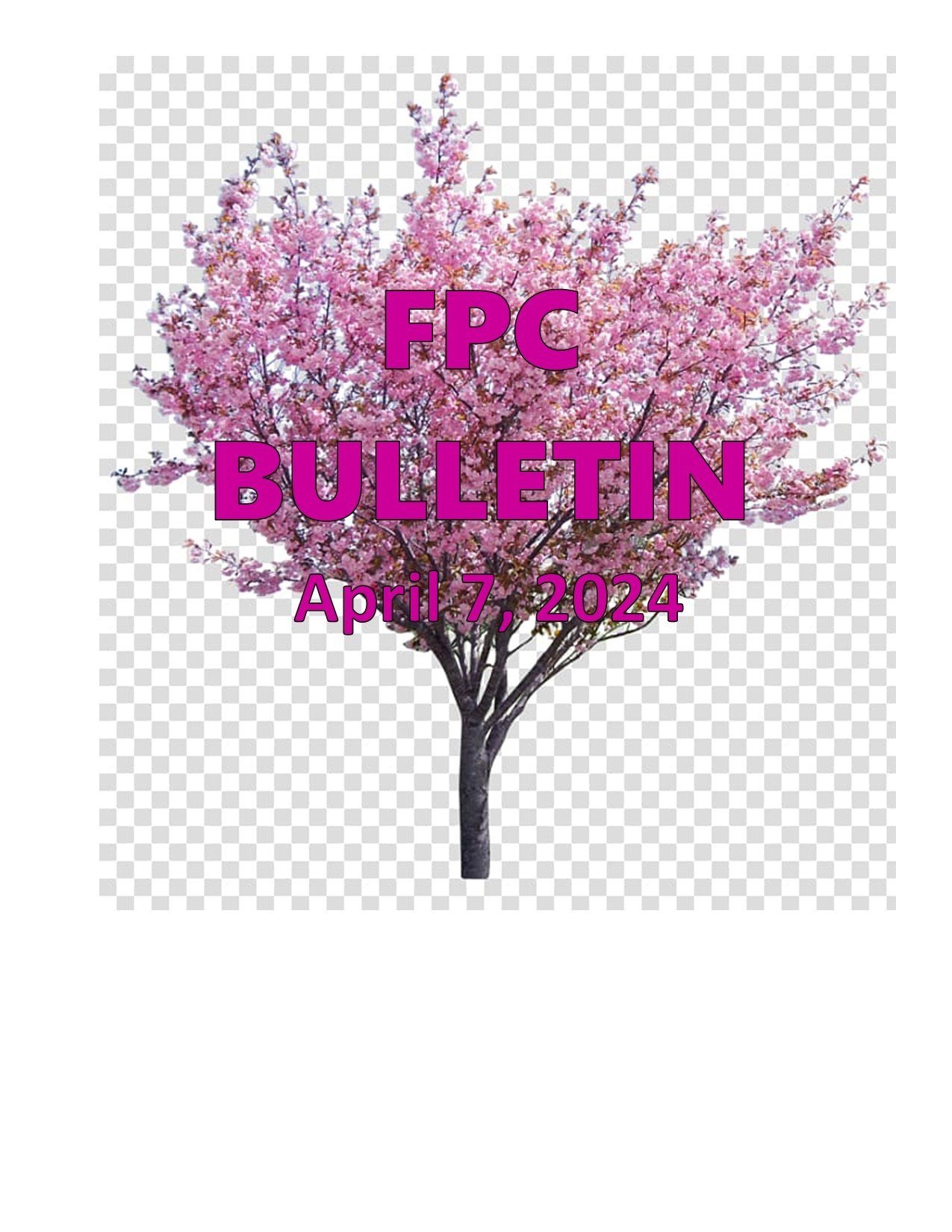 a+Button+-+Bulletin+April+7+2024.jpg