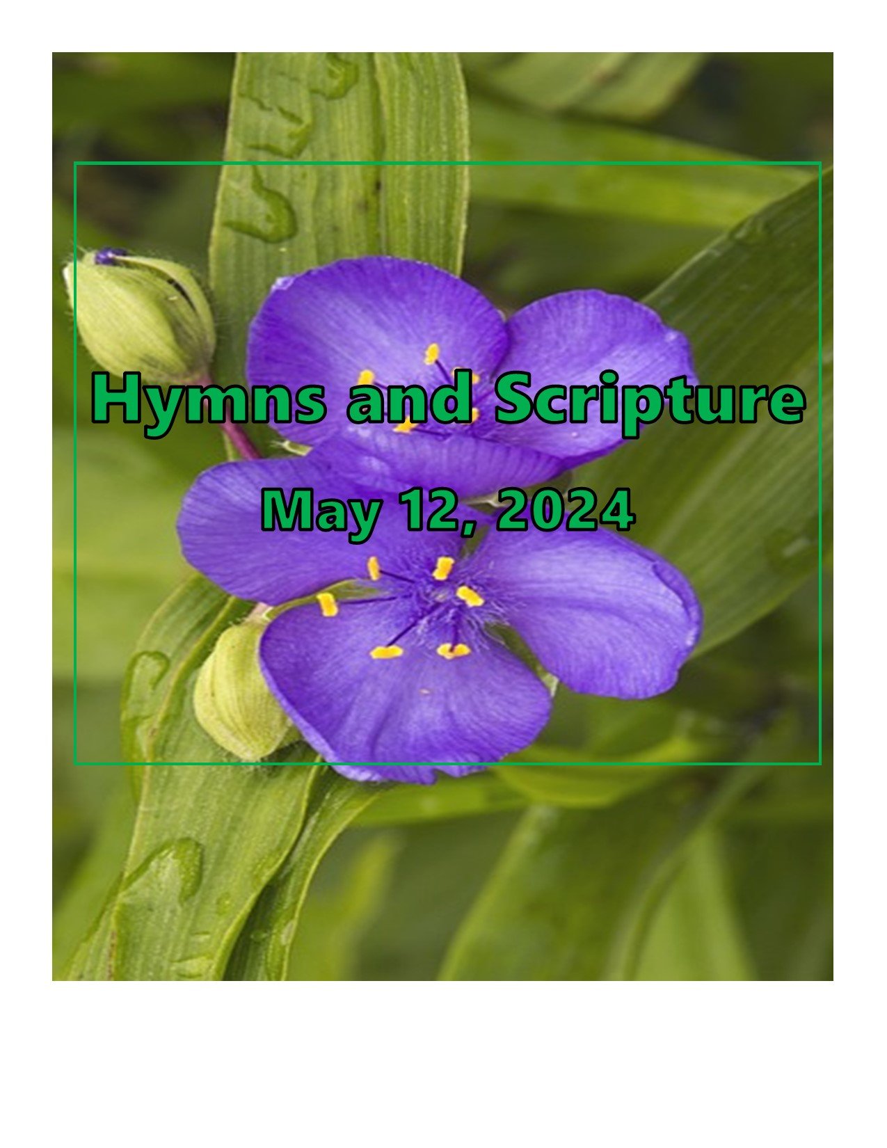 a Button -Hymns and Scripture  May 12, 2024.jpg