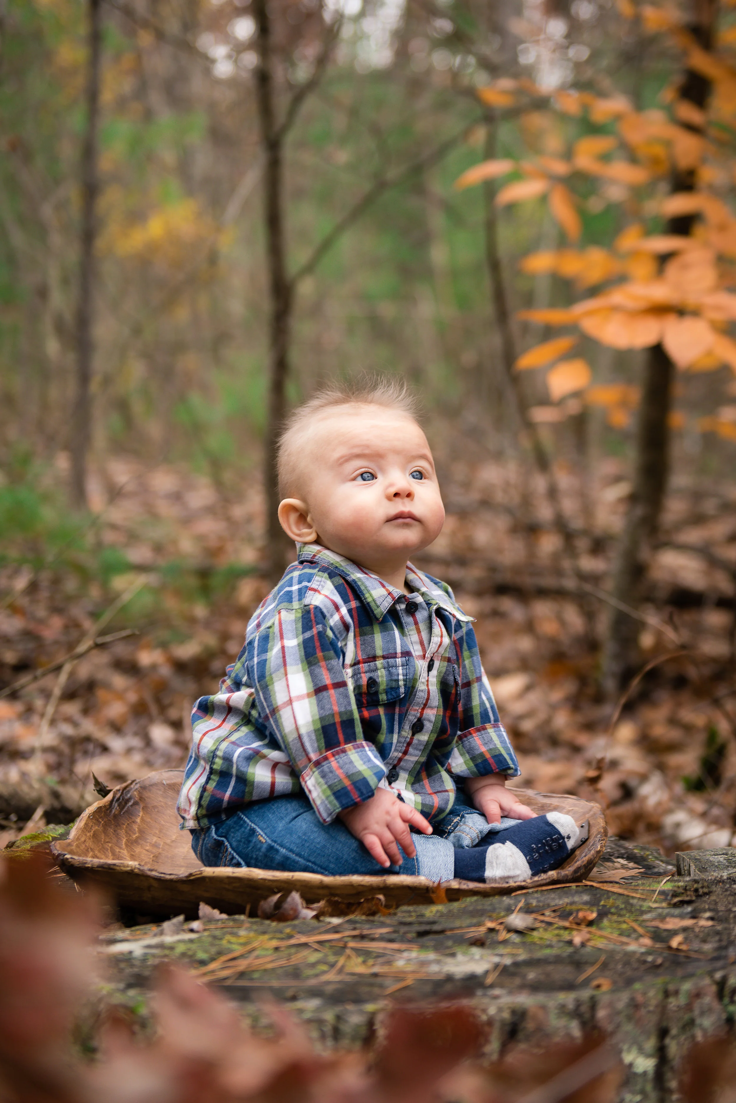 Declan6509Final.jpg
