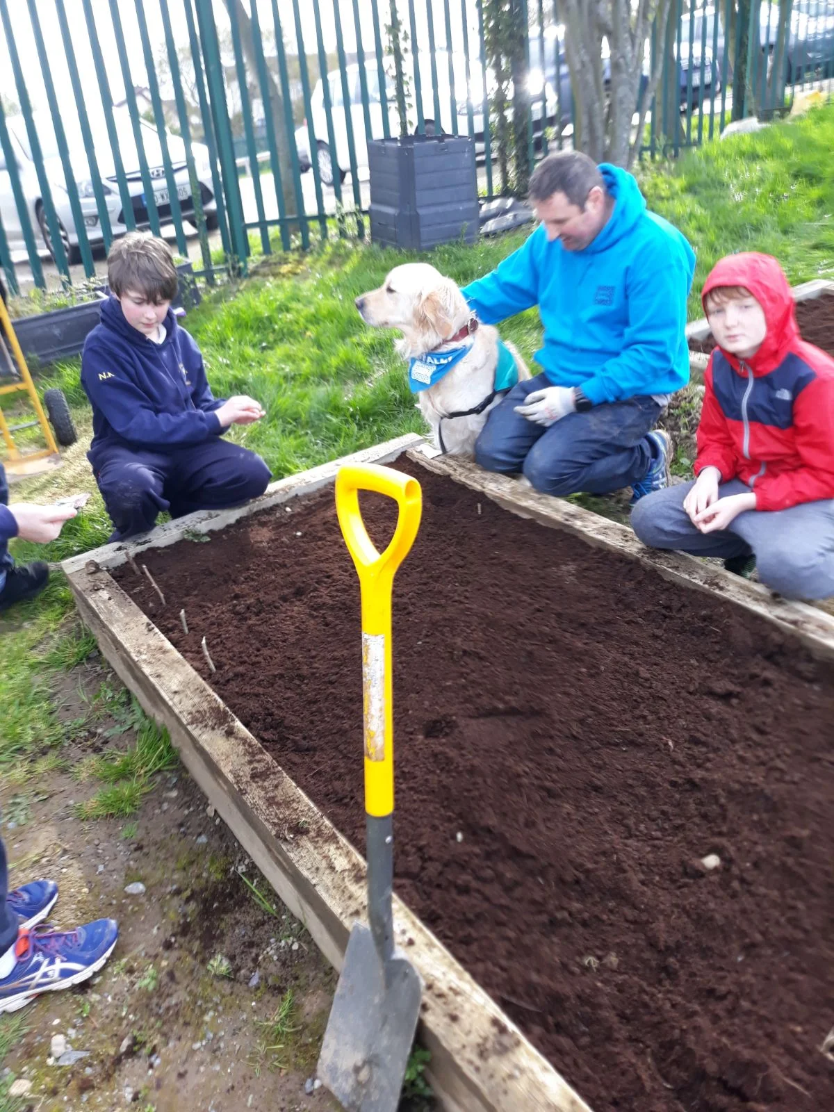 Planting Seeds