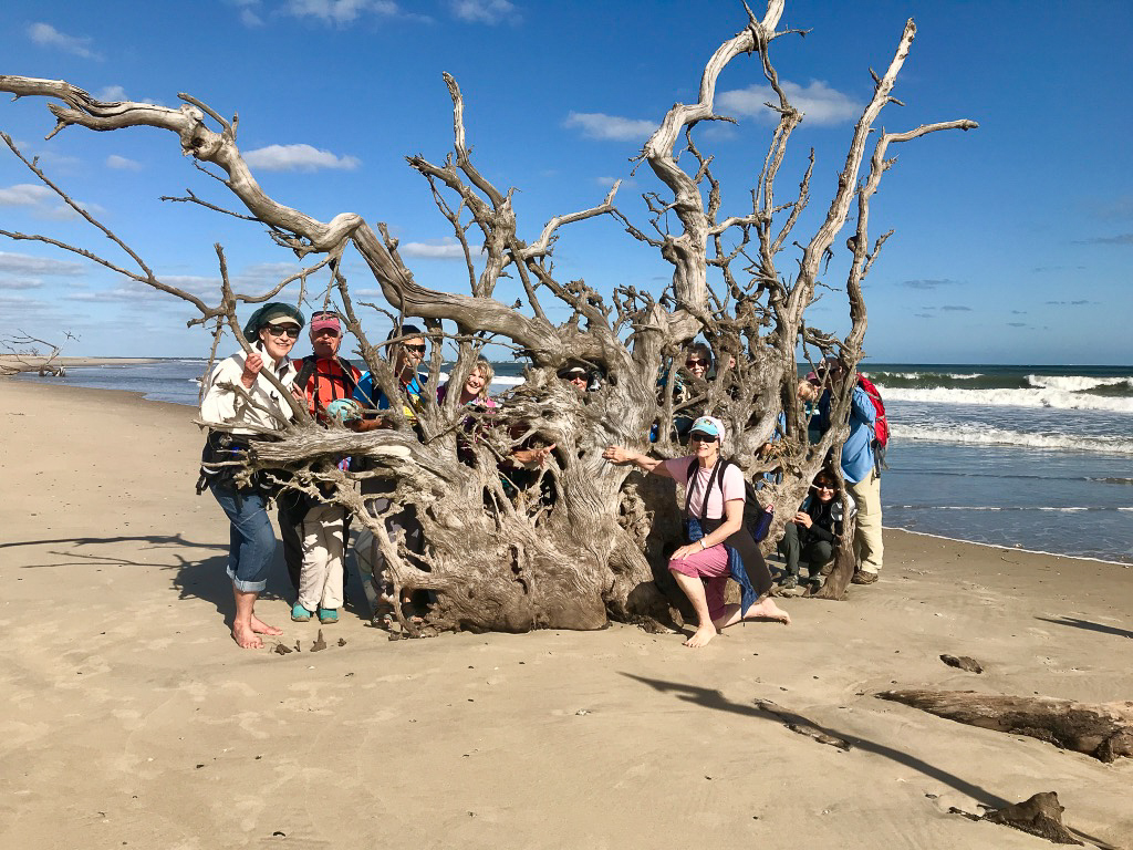 The Virginia Master Naturalists