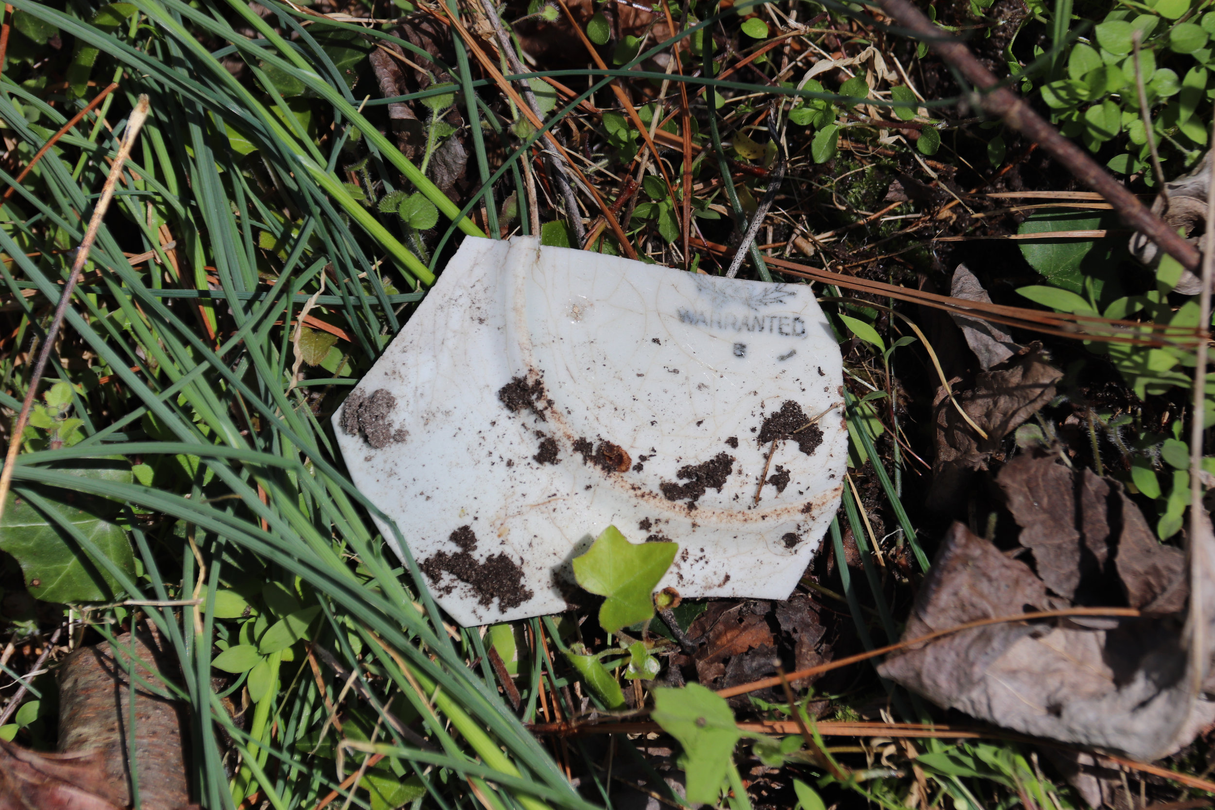 Pottery Shard at Doghouse Trail Homesite