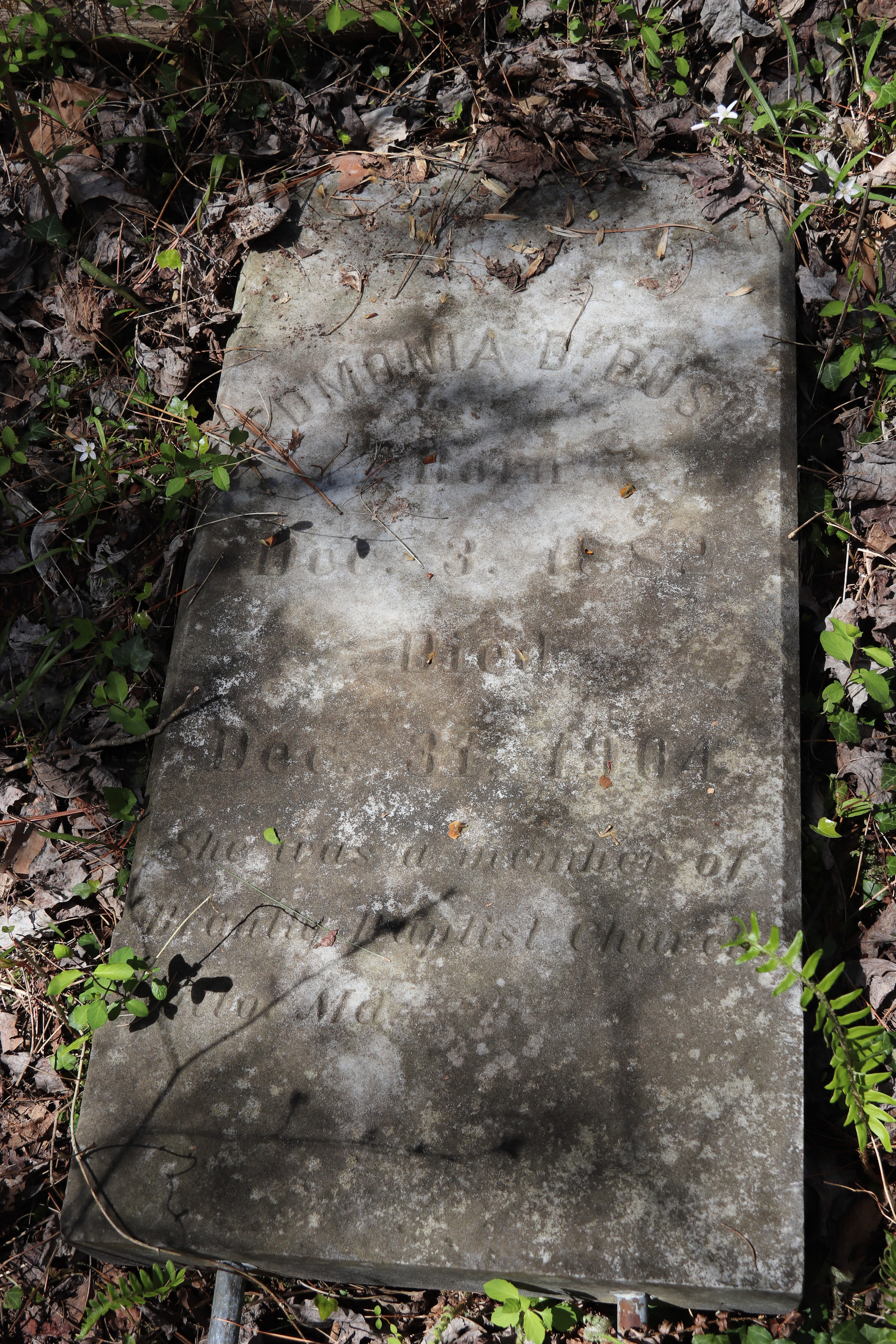 Gravestone at Doghouse Trail Homesite