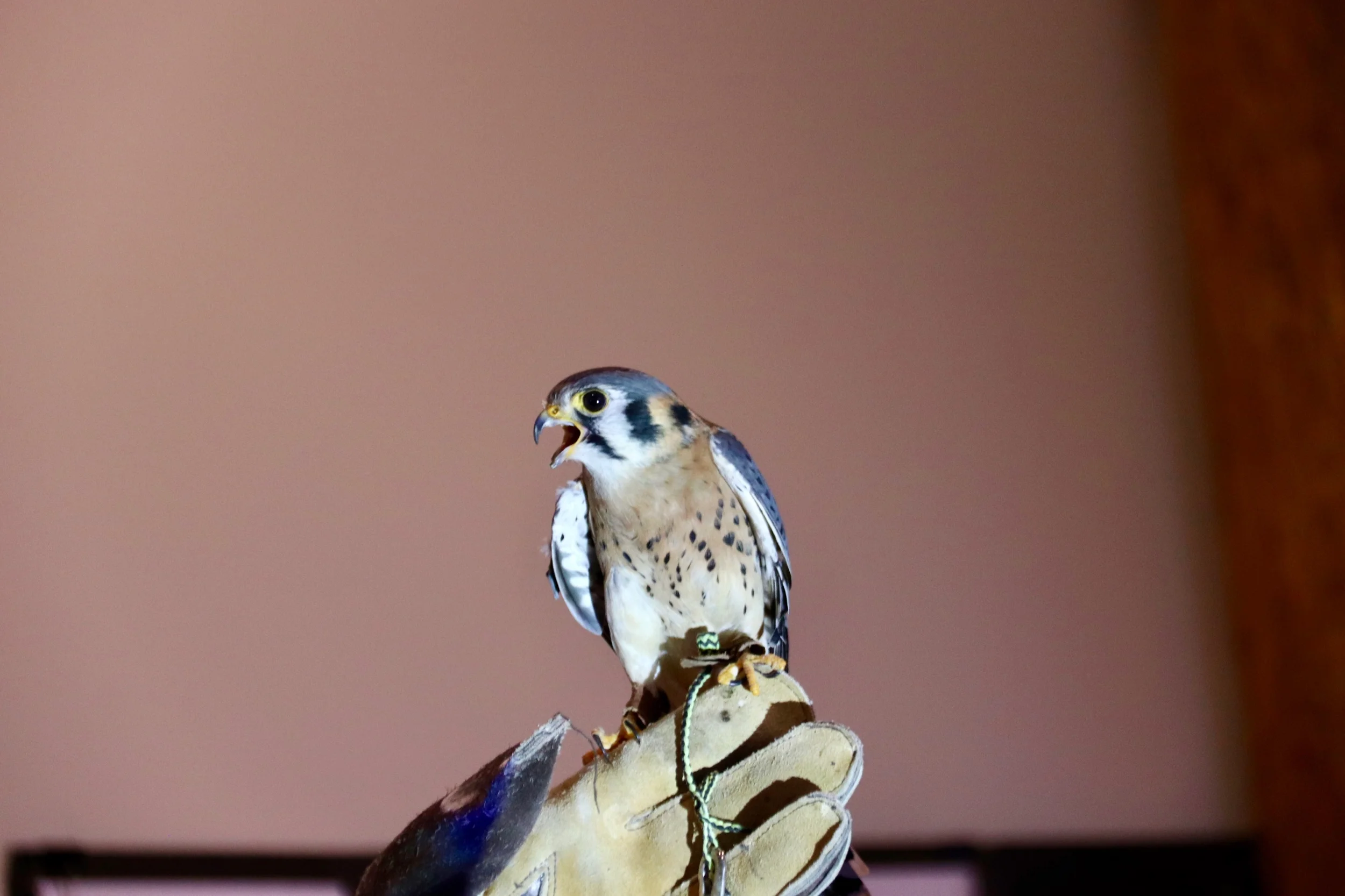 Interesting links found by our members