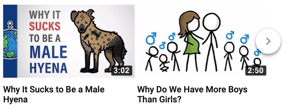 public.jpeg