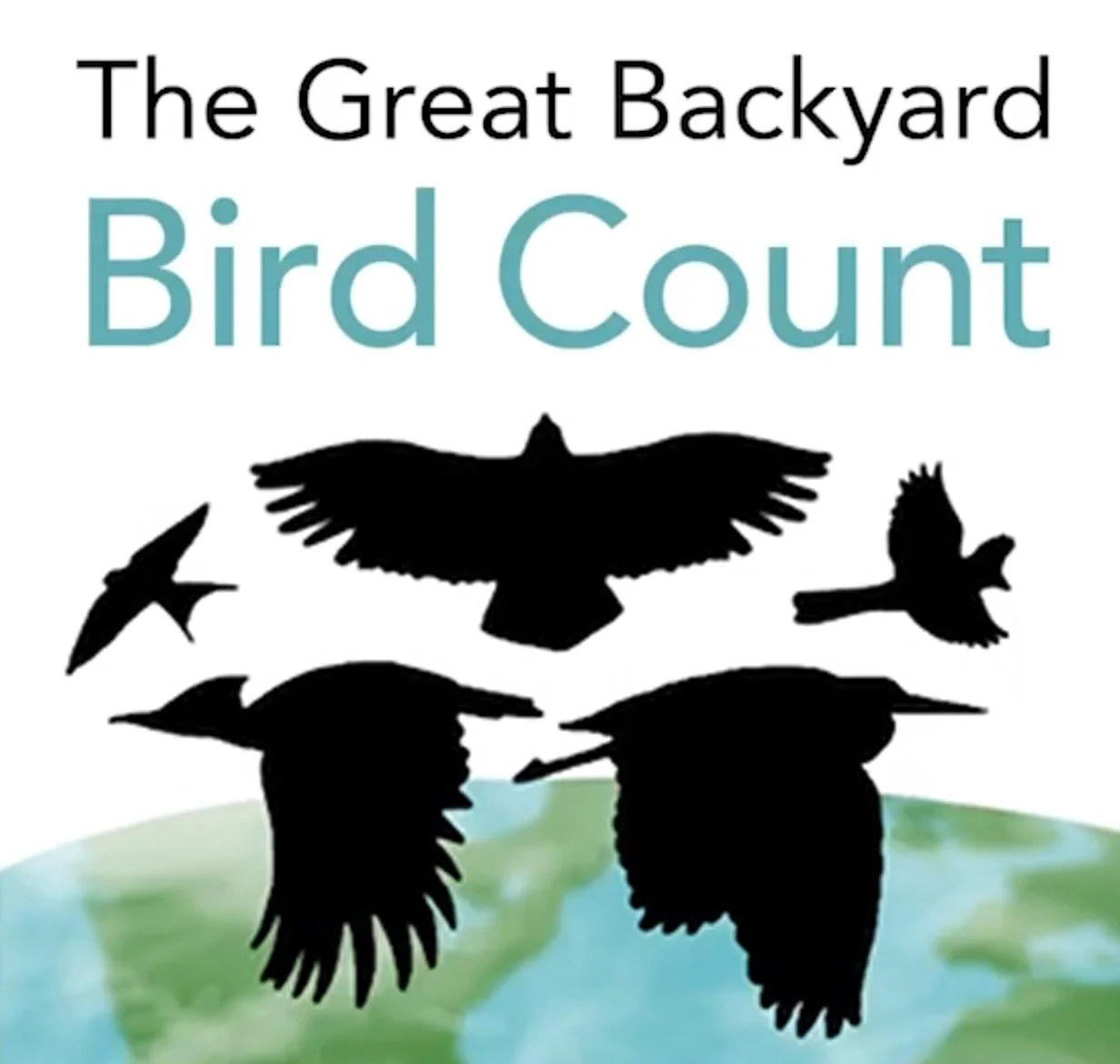 The Great Backyard Bird Count