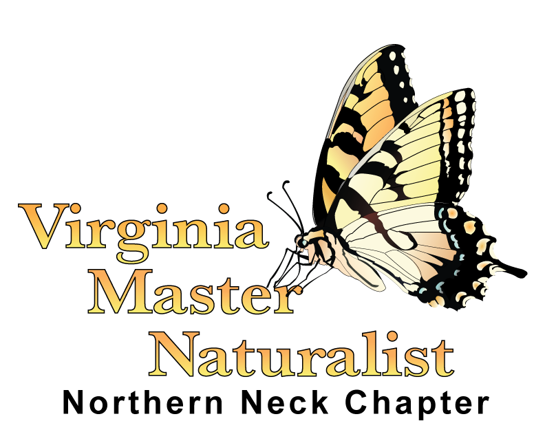 2022 VMN Statewide Conference & Volunteer Training