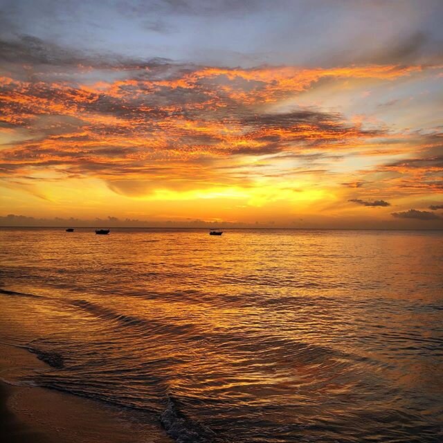 🌅 🏖