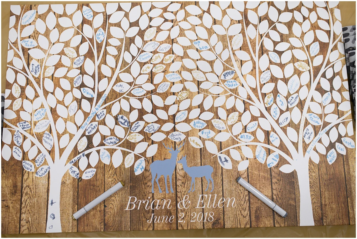 kristen ann wedding photograper mitchell sd_0072.jpg