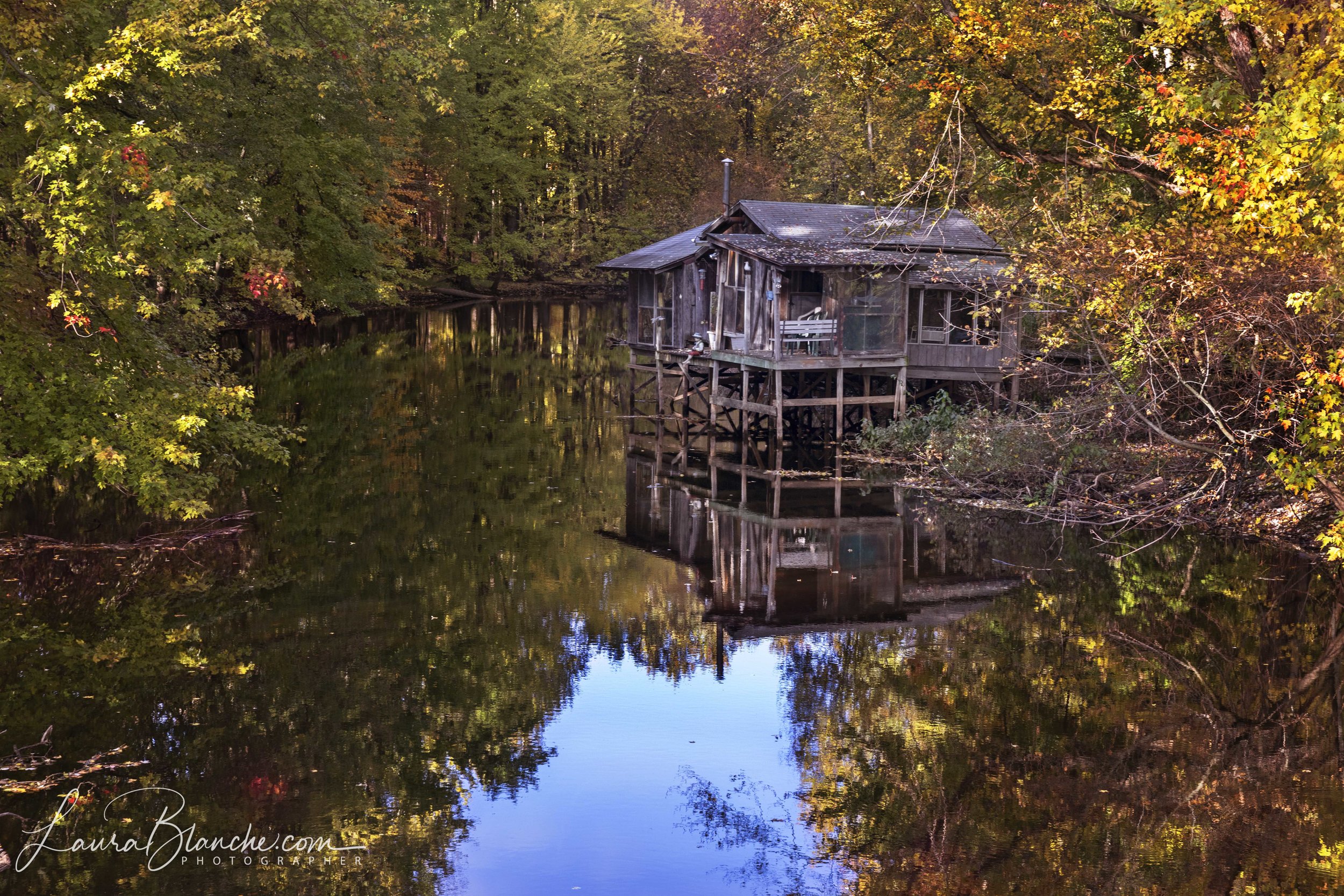 Banjos on the Looking Glass