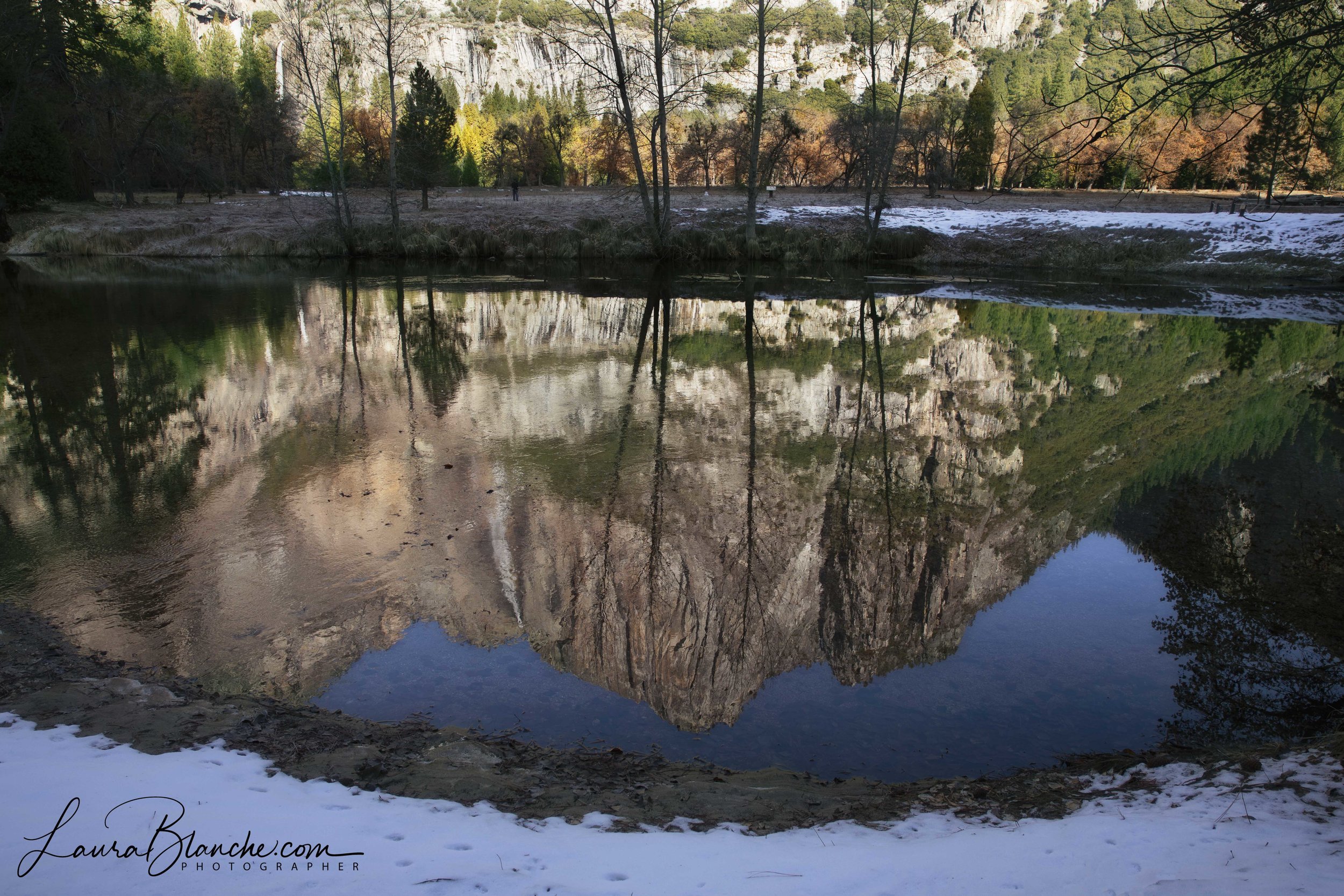 Reflective Qualities
