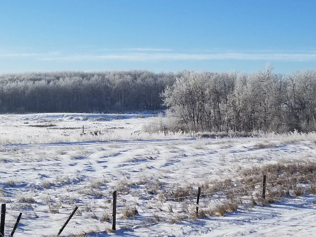 SnowAlberta_0.jpg
