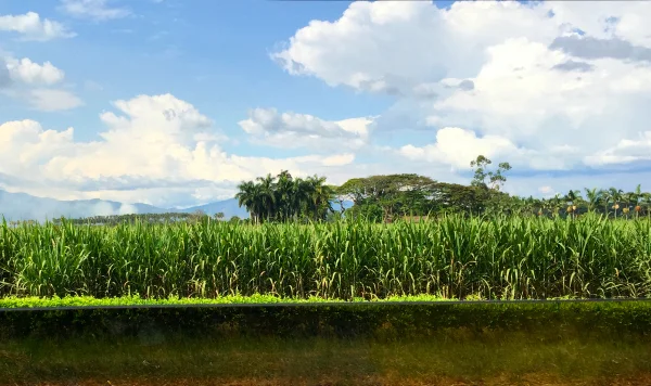 Colombia 2014: Day 1 - Livin' Simply