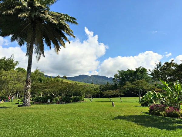 Colombia 2014: DAY 3 - Las Playas del Carmen