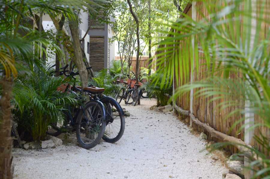 2.3-tulum9.jpg