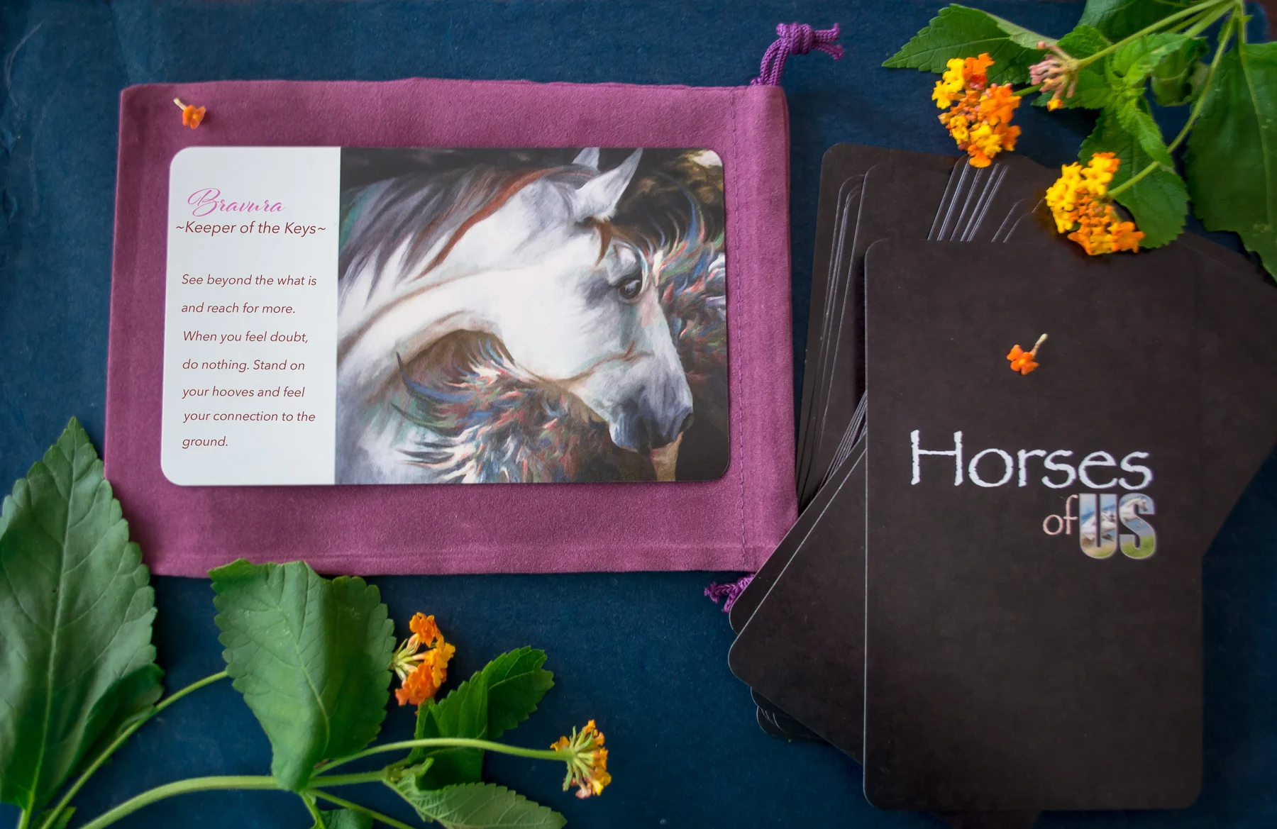 Bravura-with-flower-banner-text-redone.jpg