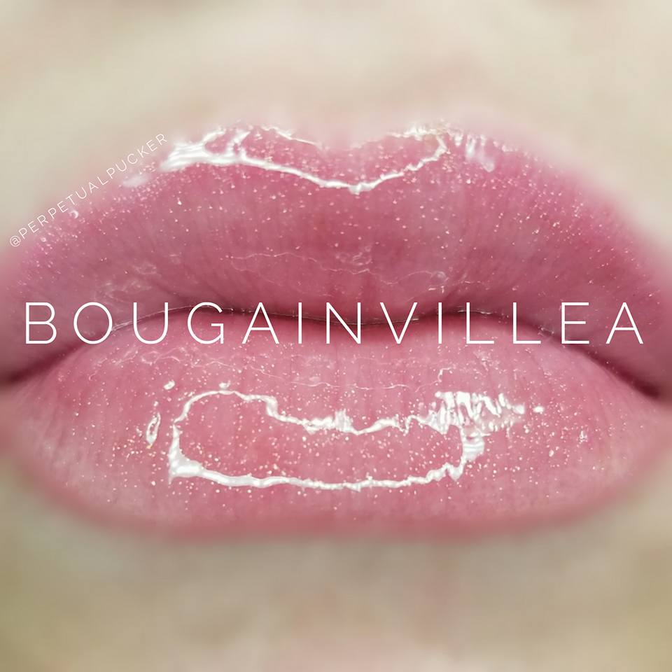 Bougainvillea Gloss