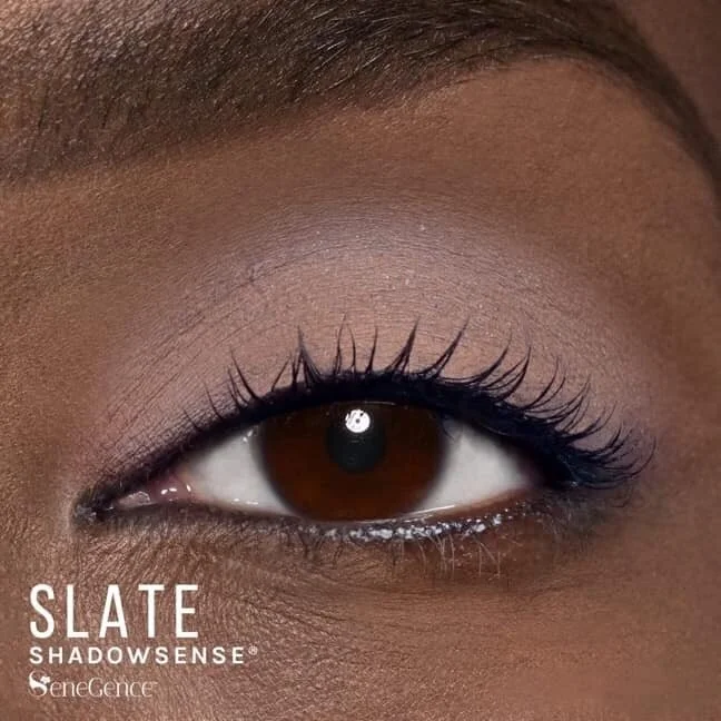 Smokey Neutrals ShadowSense Collection — Rochelle Valle
