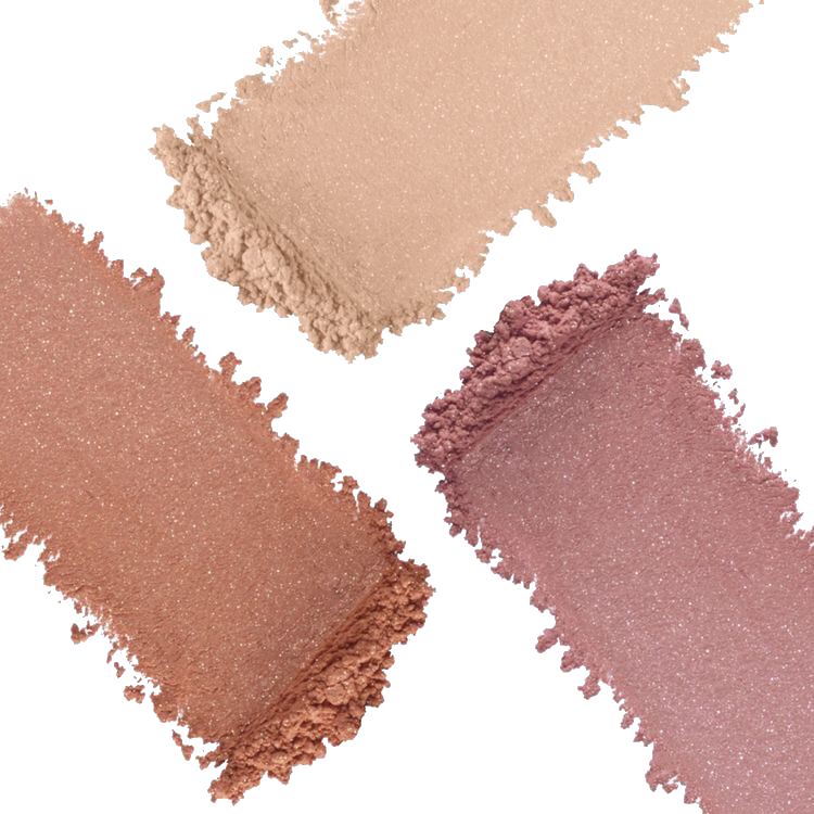 TRANSLUCID POWDER &amp; BRONZER IN DISPENSING BRUSH