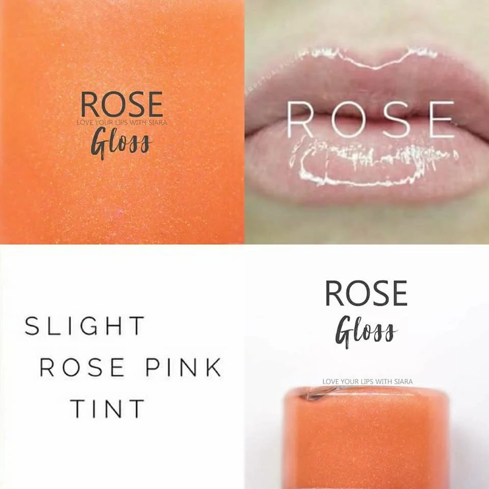 ROSE LIP GLOSS.JPG