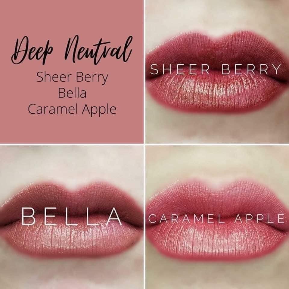 DEEP NEUTRAL NEW DISTRIBUTOR LIPSENSE KIT (2).jpeg