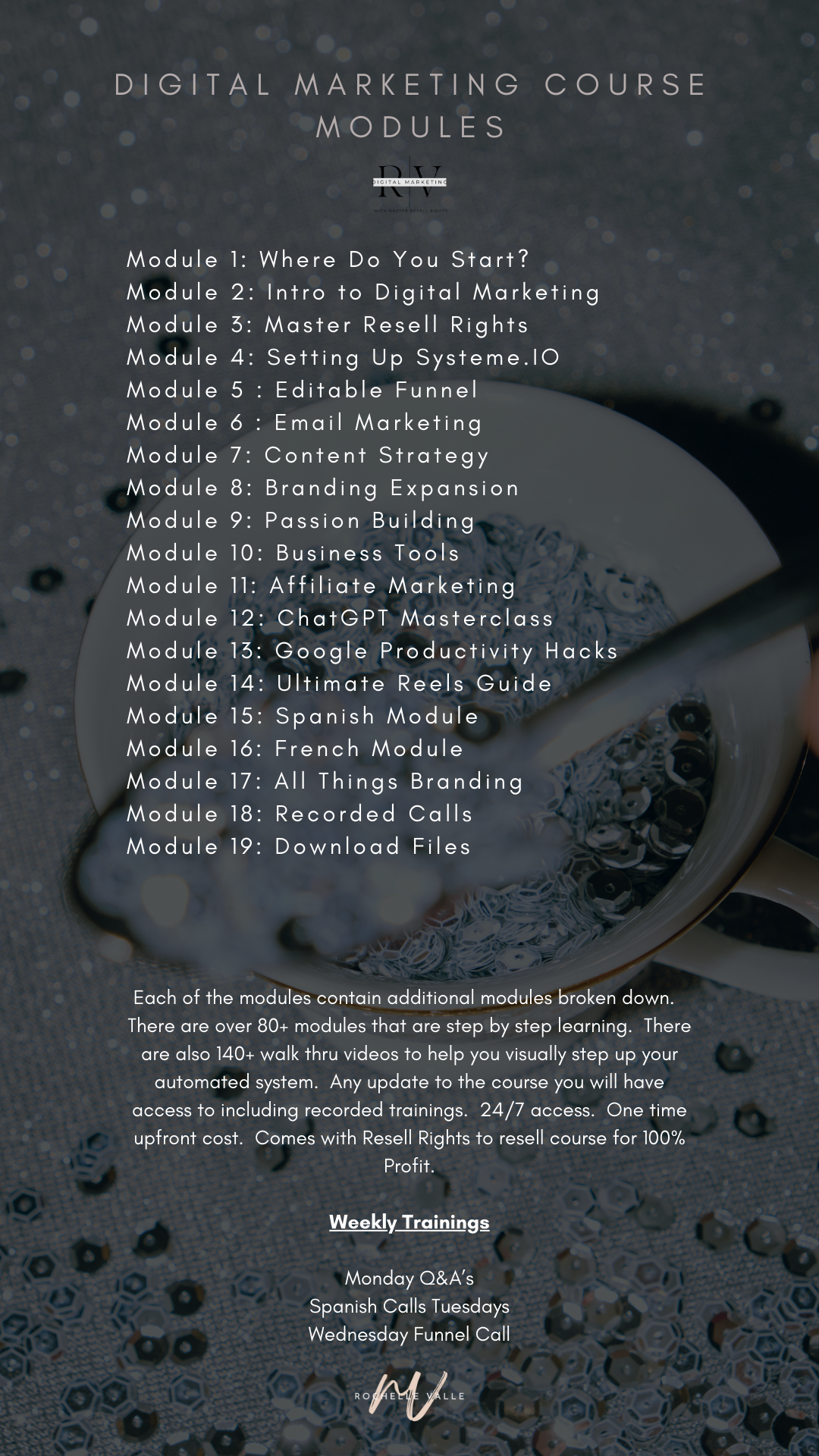Digital Marketing Course with Master Resell Rights ( MRR ) — Rochelle Valle