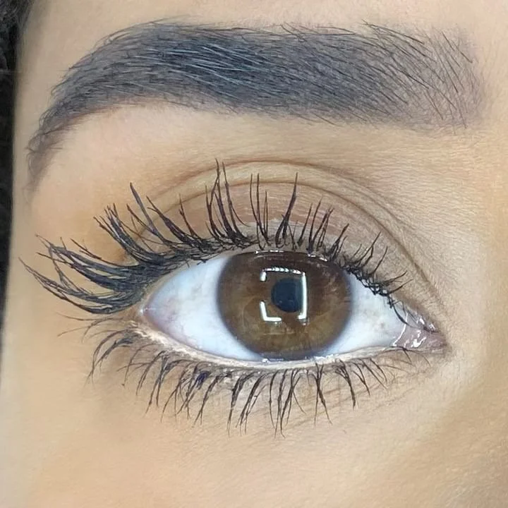 BrightEyed_LeAngelique Lamb7.JPG