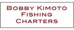 Kimoto logo.png