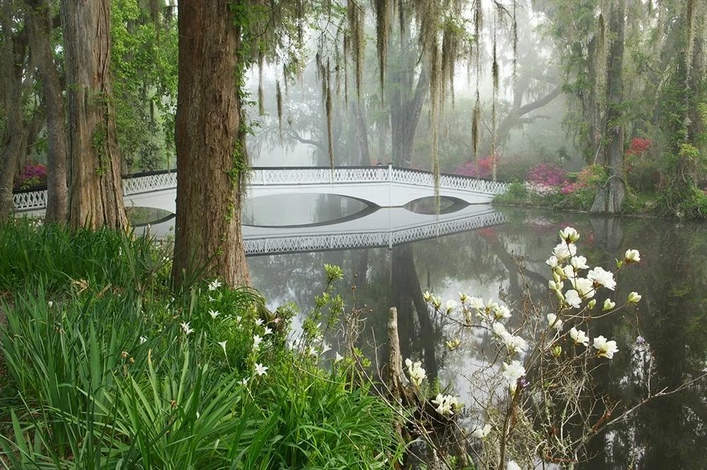 magnolia-plantation-gardens.jpg