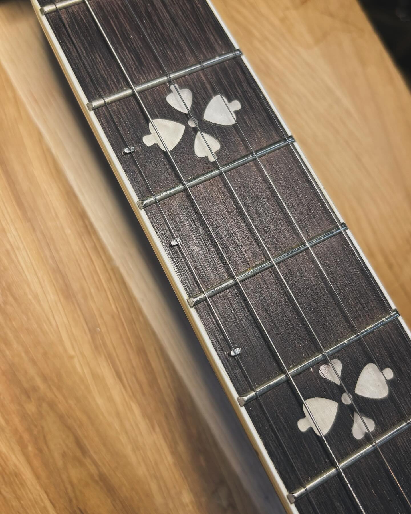 Just a little reminder that I can help you get the best out of your banjo, often a service just offered to students, I&rsquo;m happy to work on anyone&rsquo;s banjo.

Most popular service being installing railroad spikes, making it possible for you t