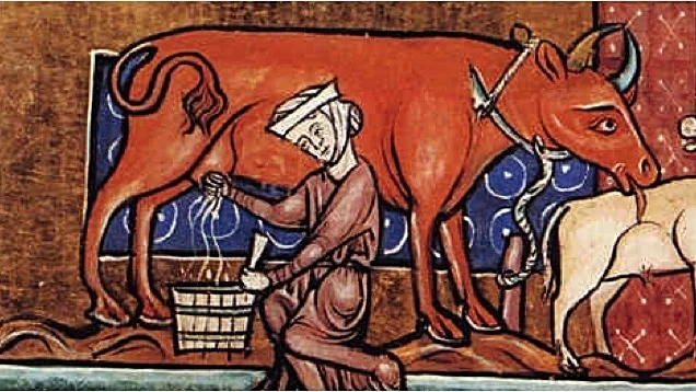 Dairy.jpg