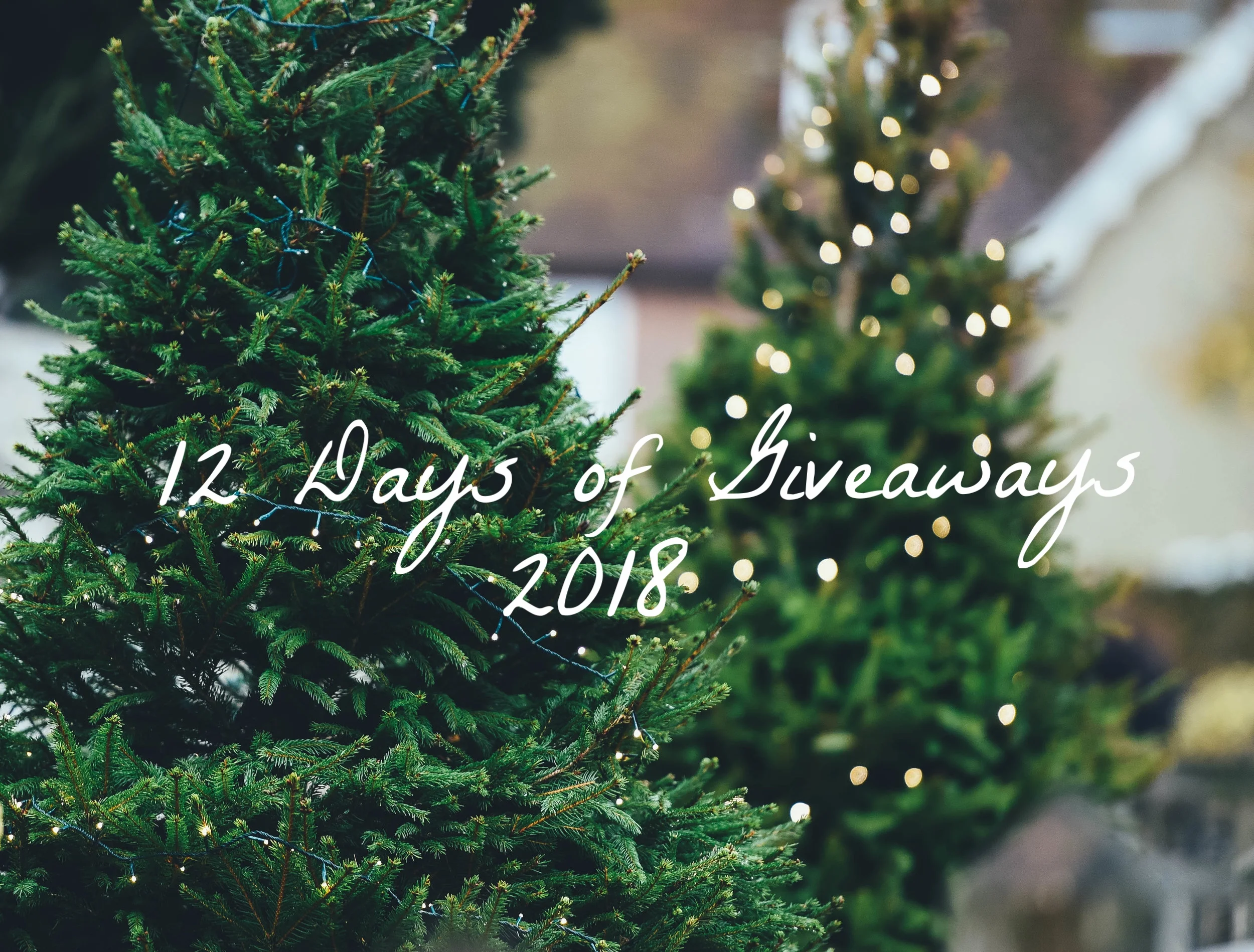 12 Days of Giveaways Begin!