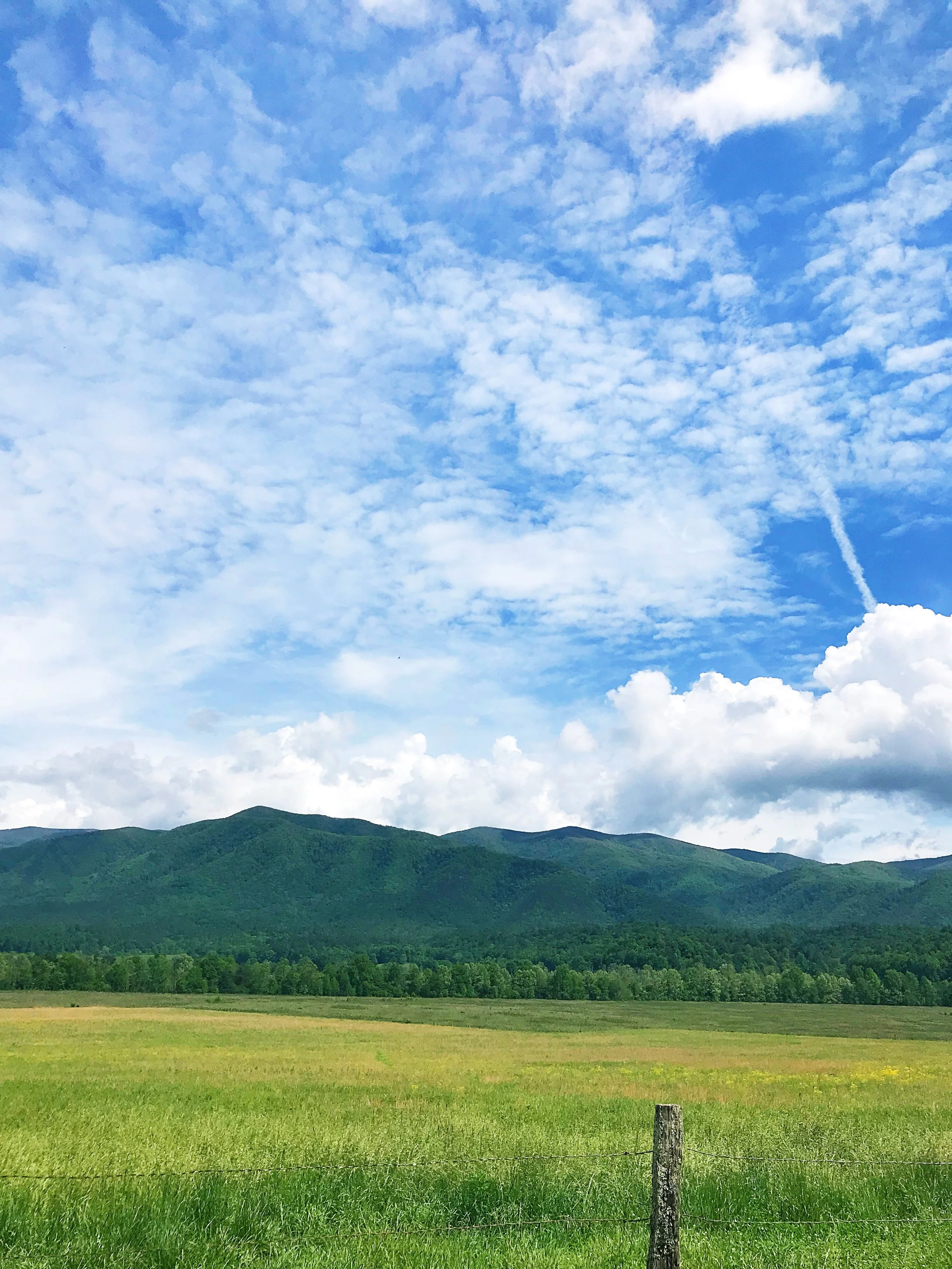 National Parks: Great Smoky Mountains 