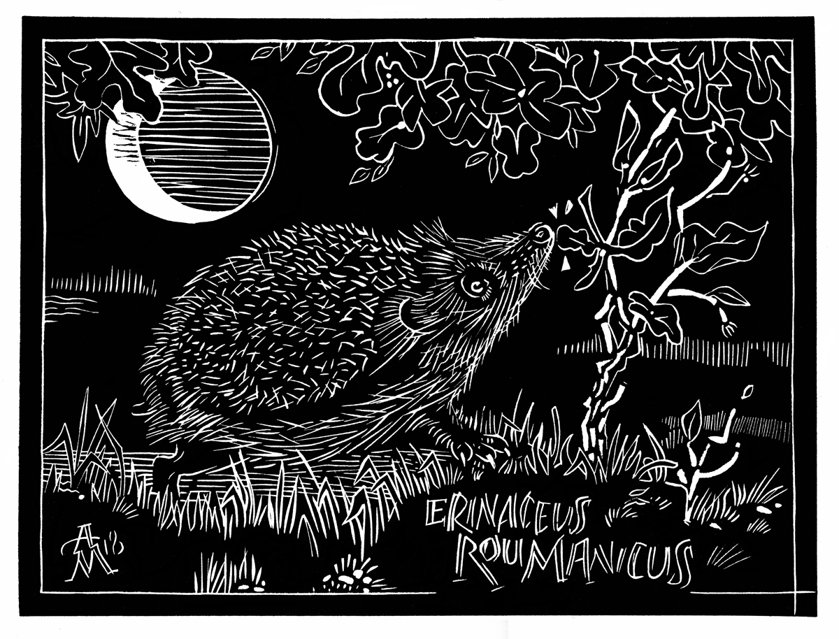 HedgehogScan1200px.png