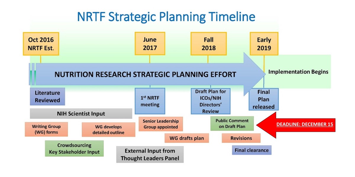 nrtf-timeline-fi.jpeg