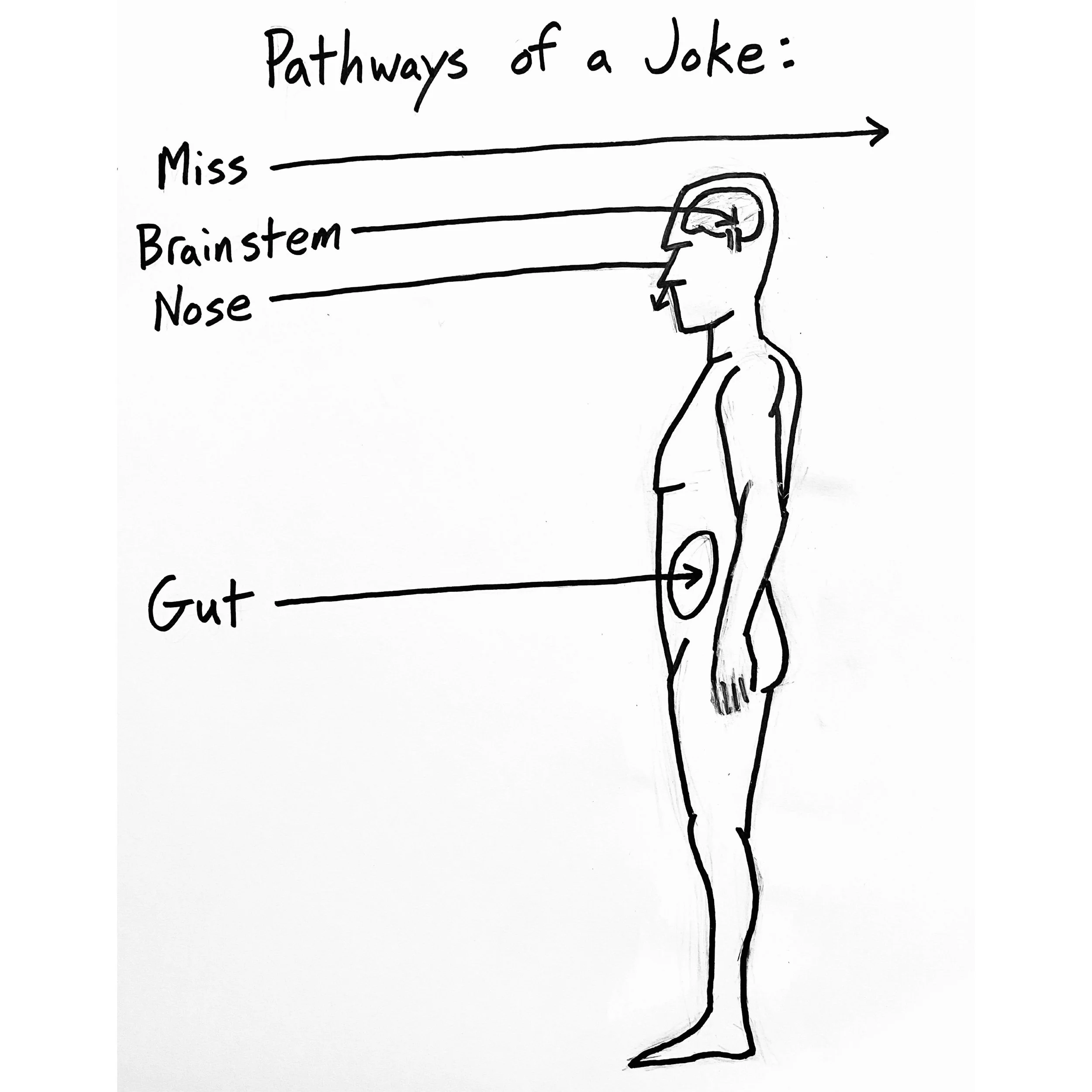 30. Pathways of a Joke.jpg