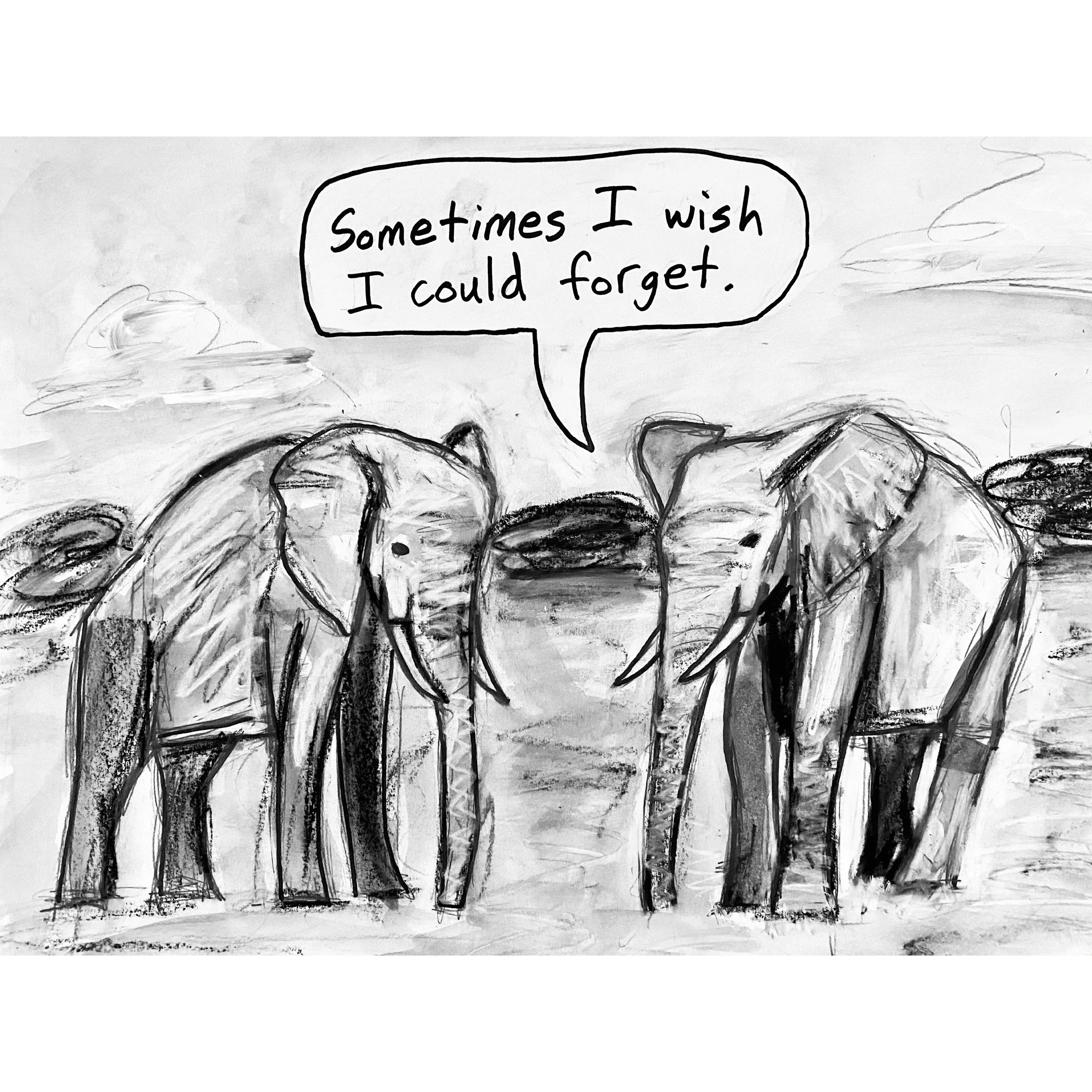 Elephant Memory.jpg