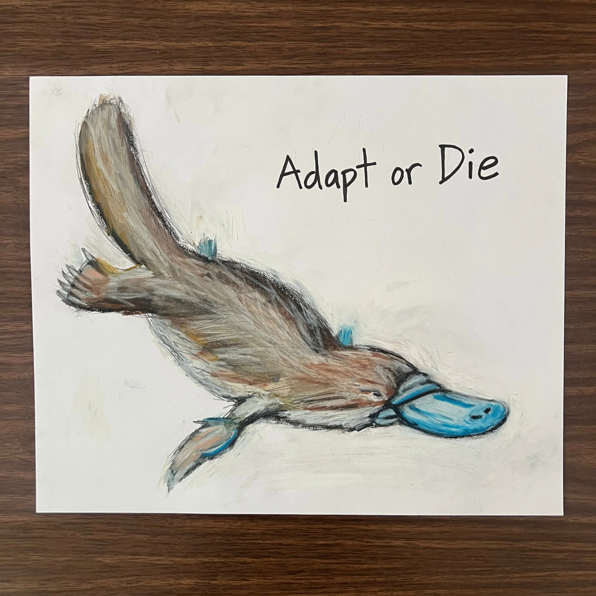 adapt irl square.jpg