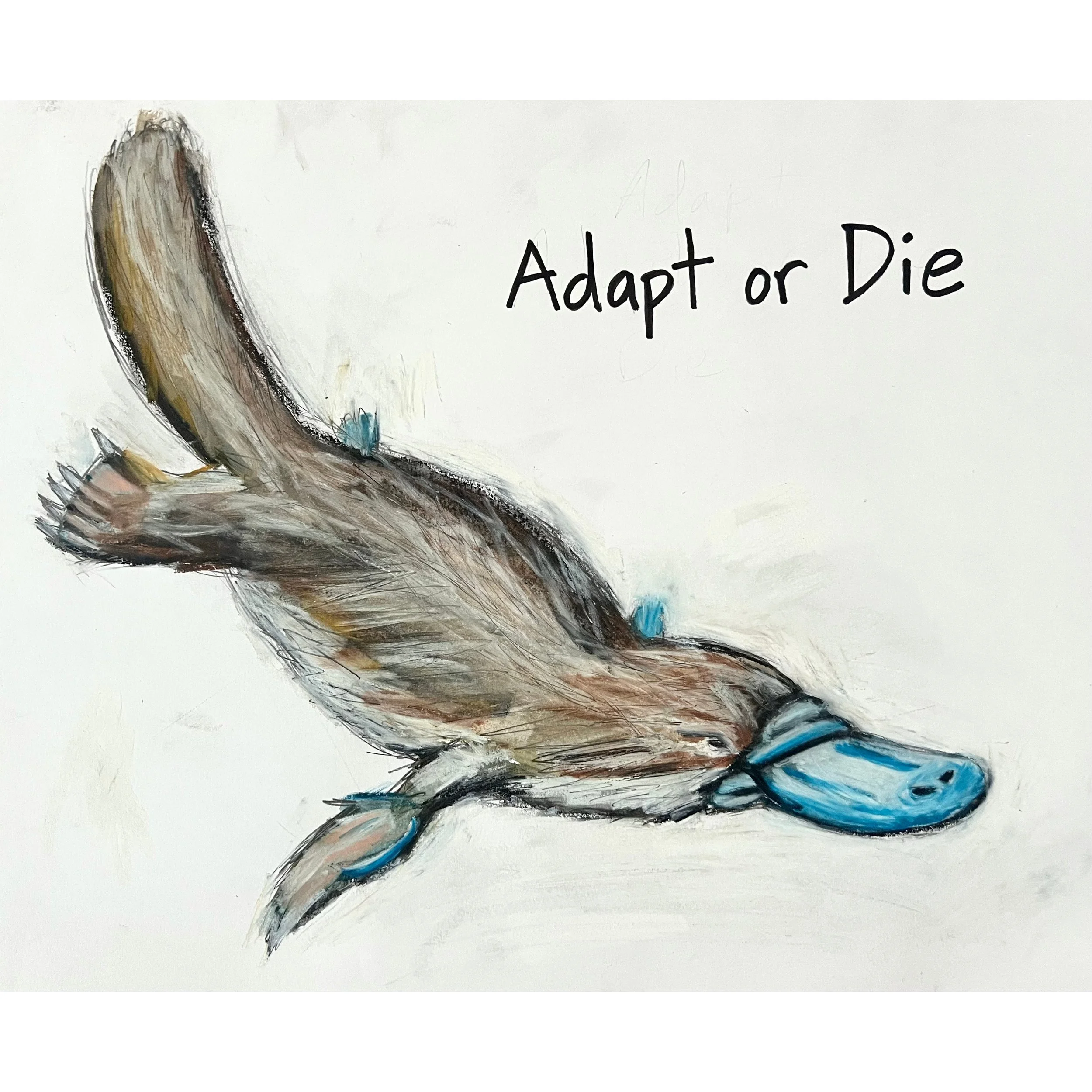 adapt image square.jpg