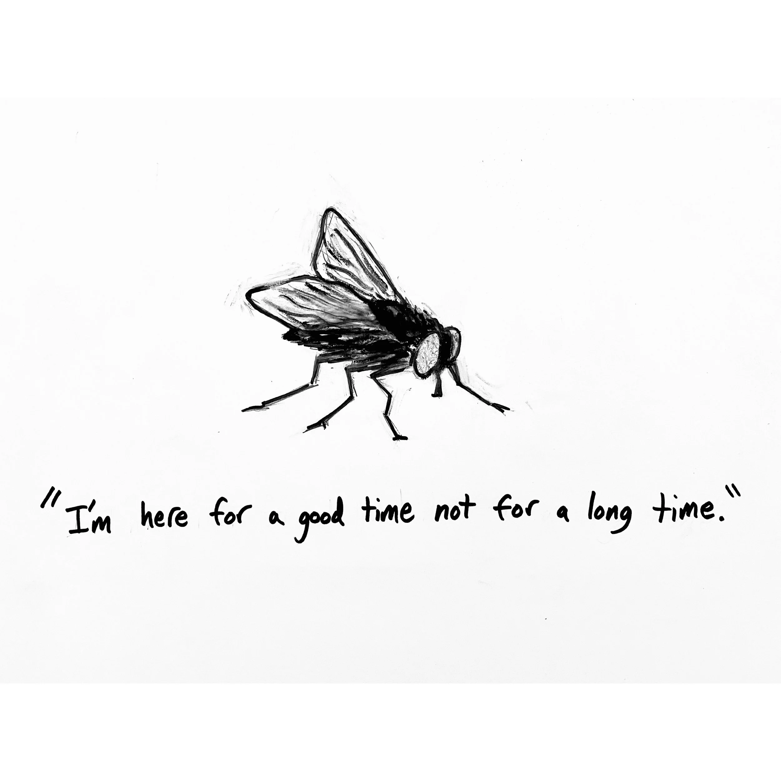 Fly - Original