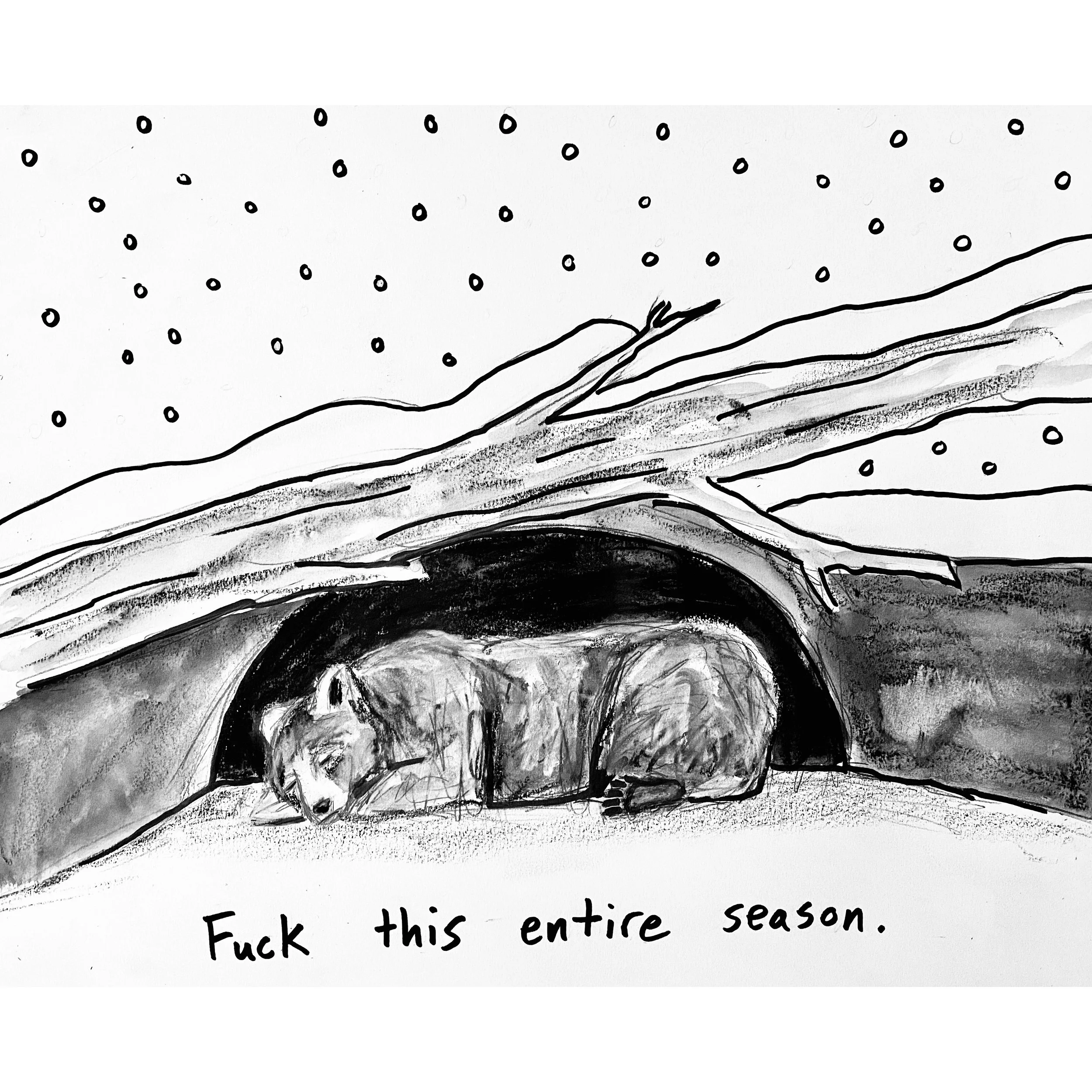 hibernation image square.jpg