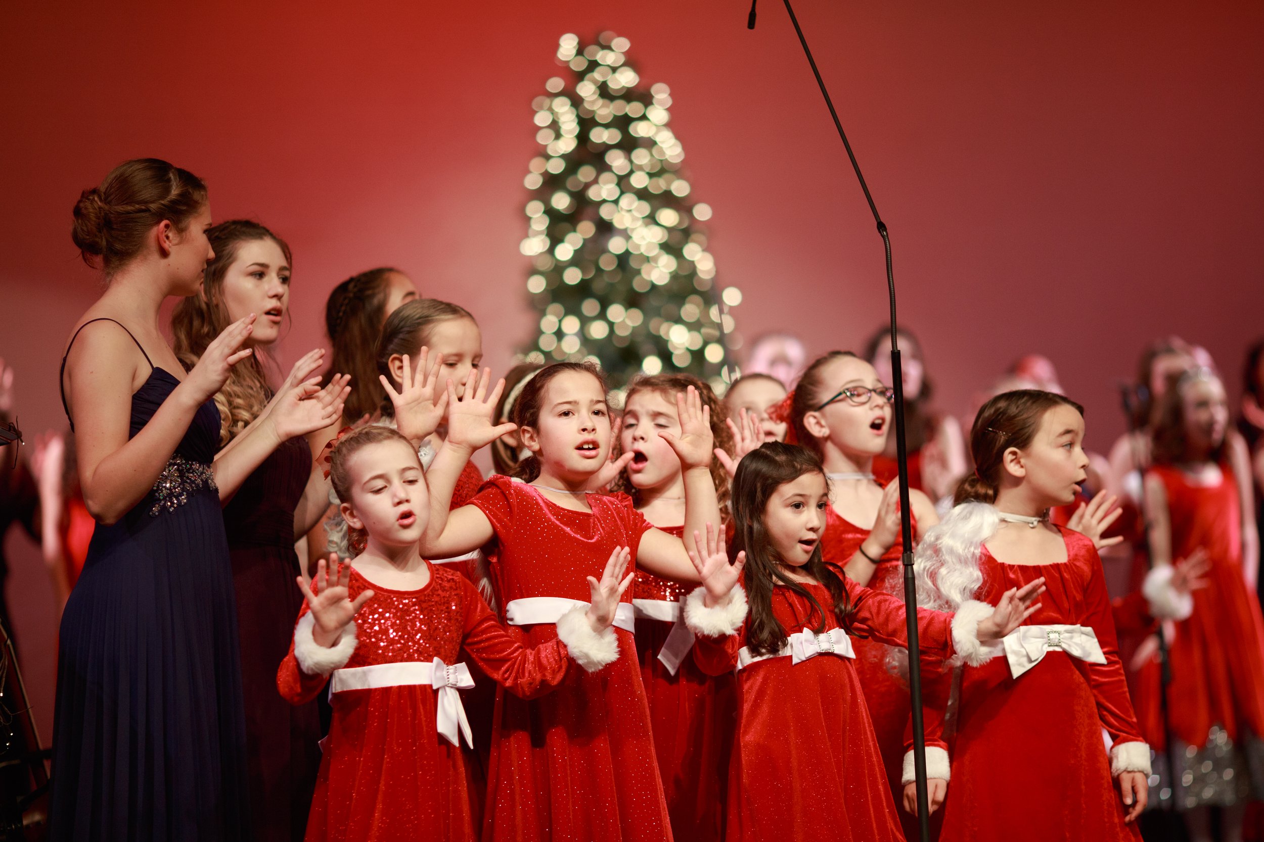VOENA Concert: Voices Of Winter Lights