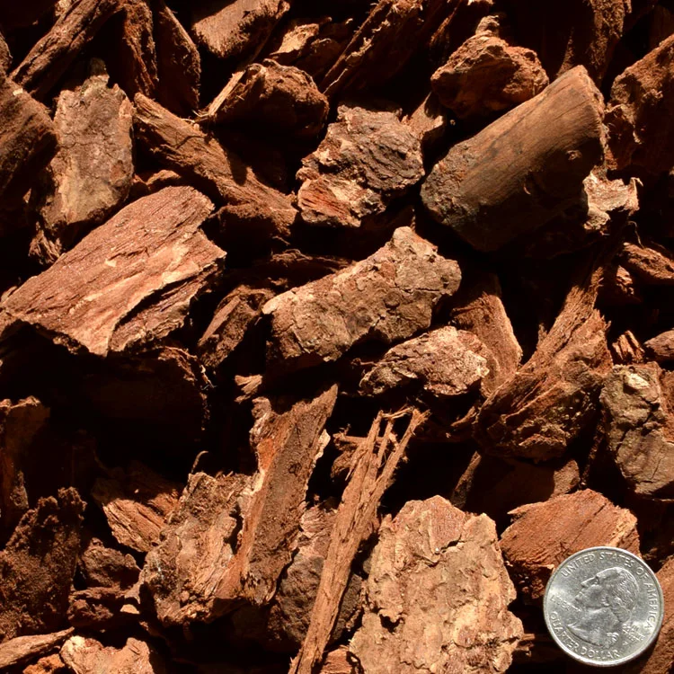 MEDIUM BARK