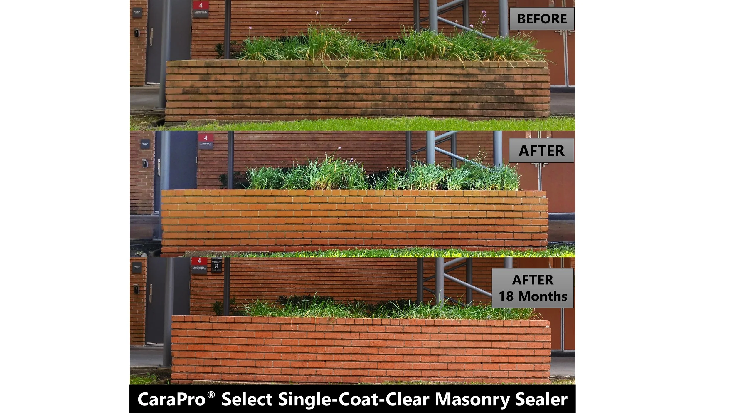 ERP Planters after 18 months.jpg