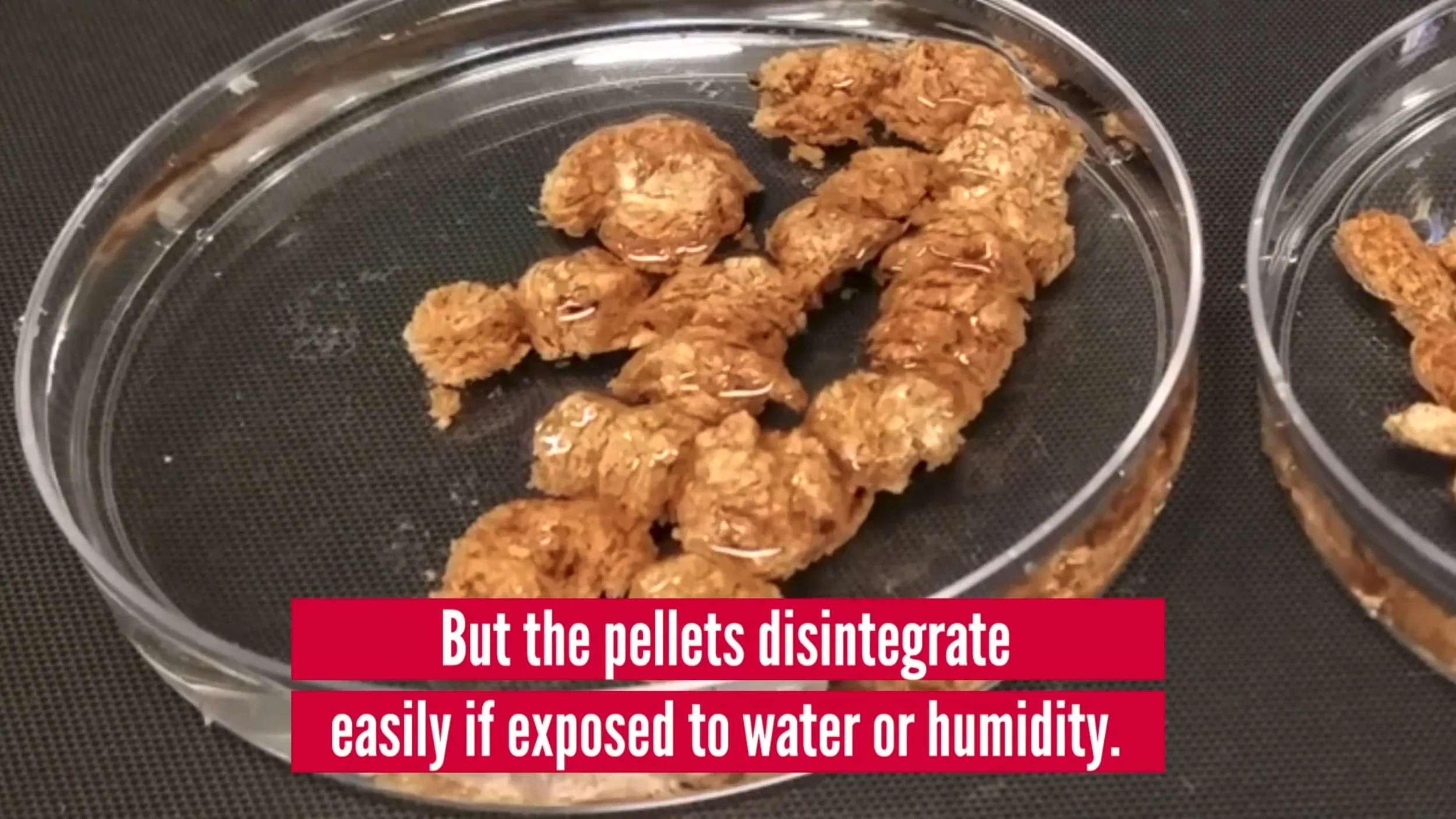 Integricote featured in the University of Houston News