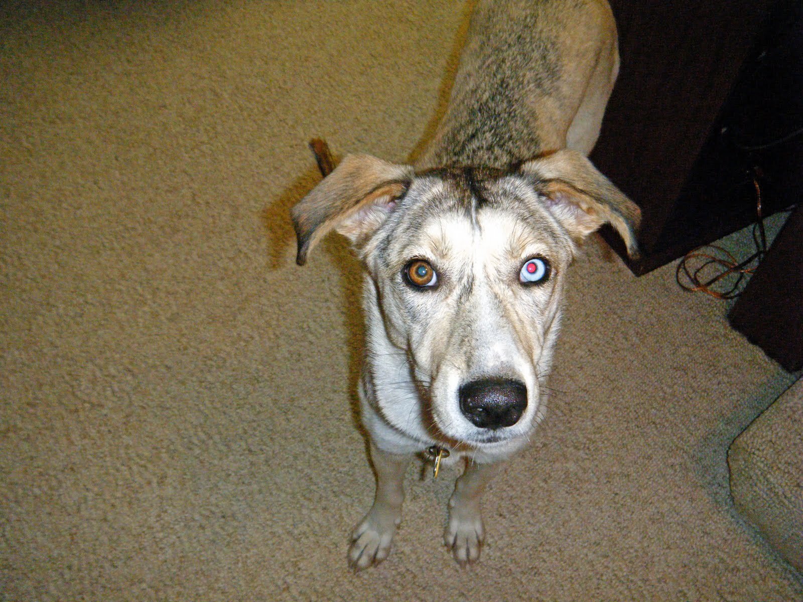 DSCF0247_edited.jpg