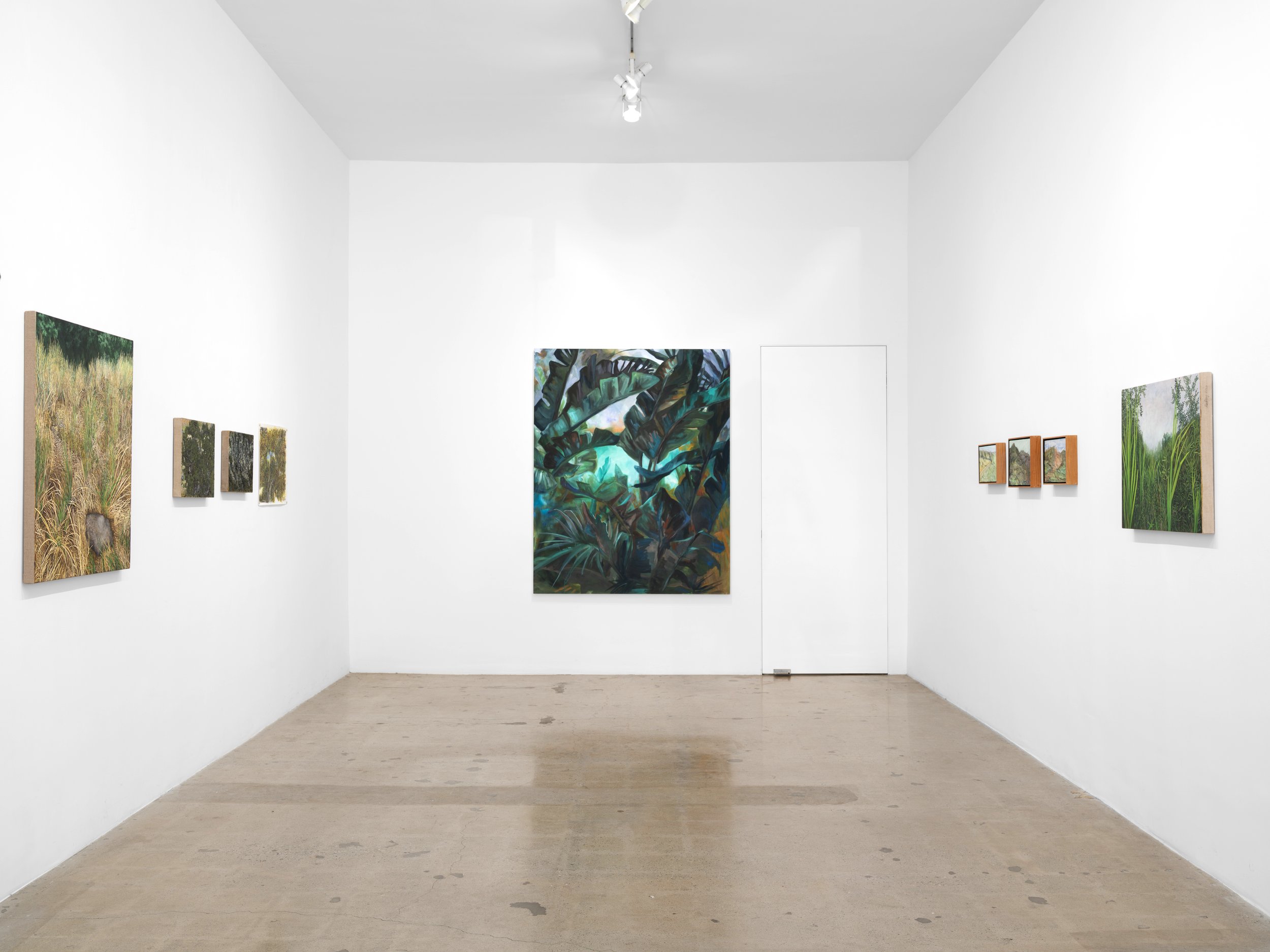 Timothy Hawkinson_TMIYWTG_2026.jpg