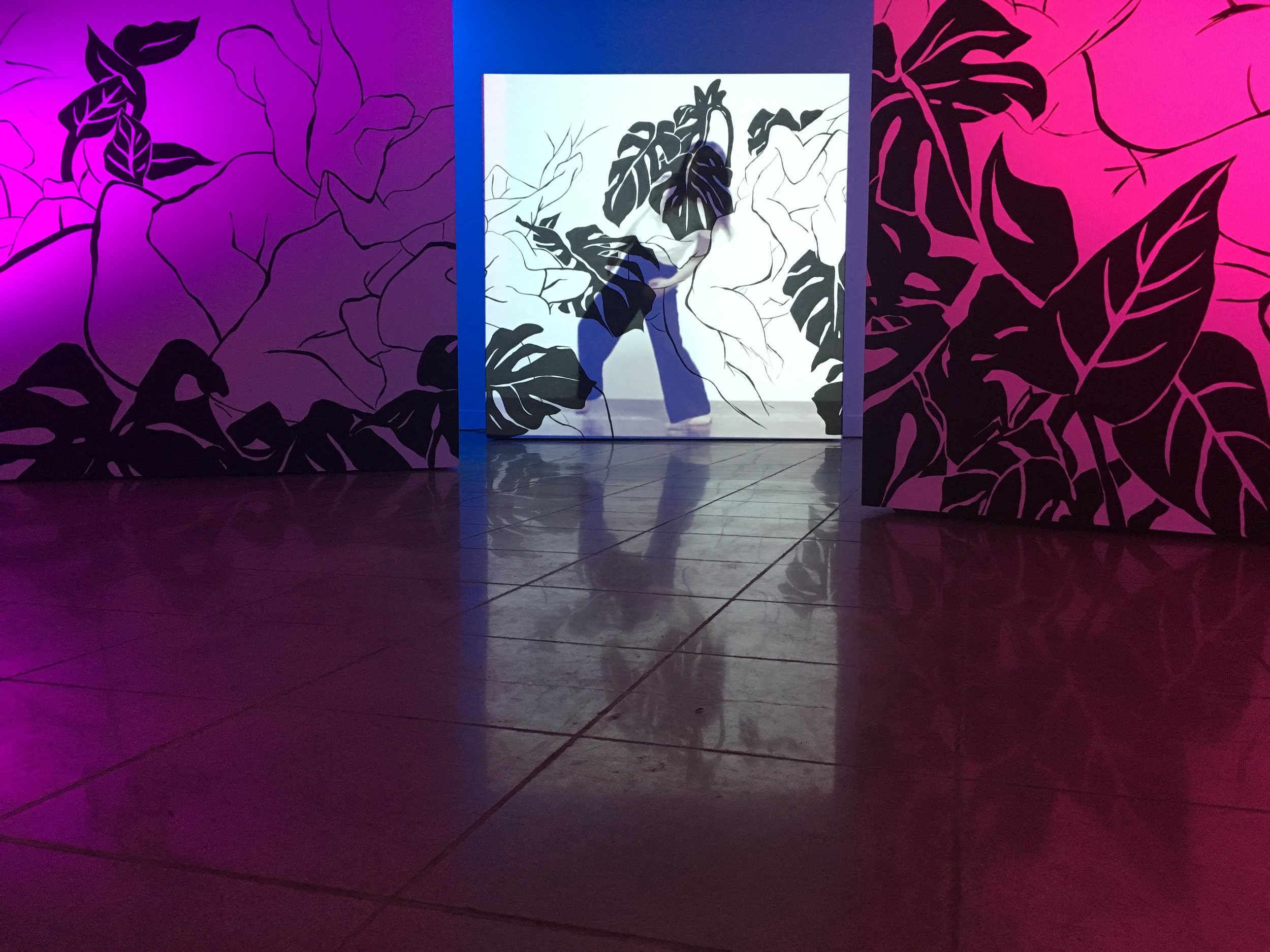 Installation View of "Afterlight"