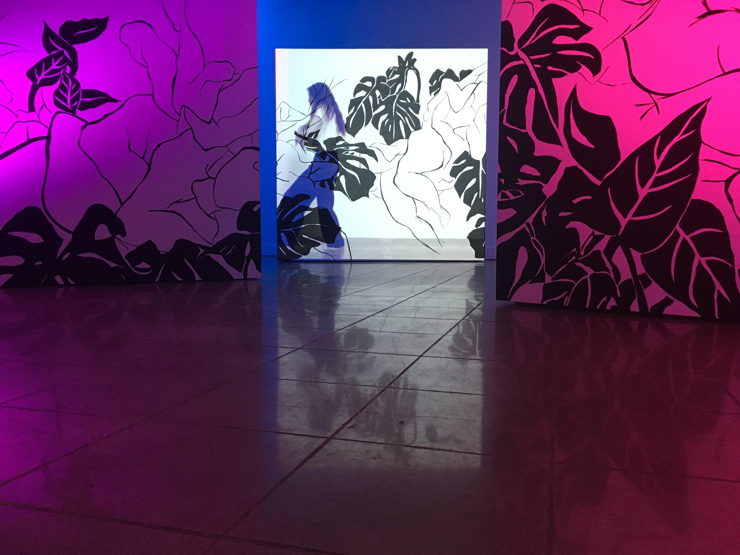 Installation View of "Afterlight"